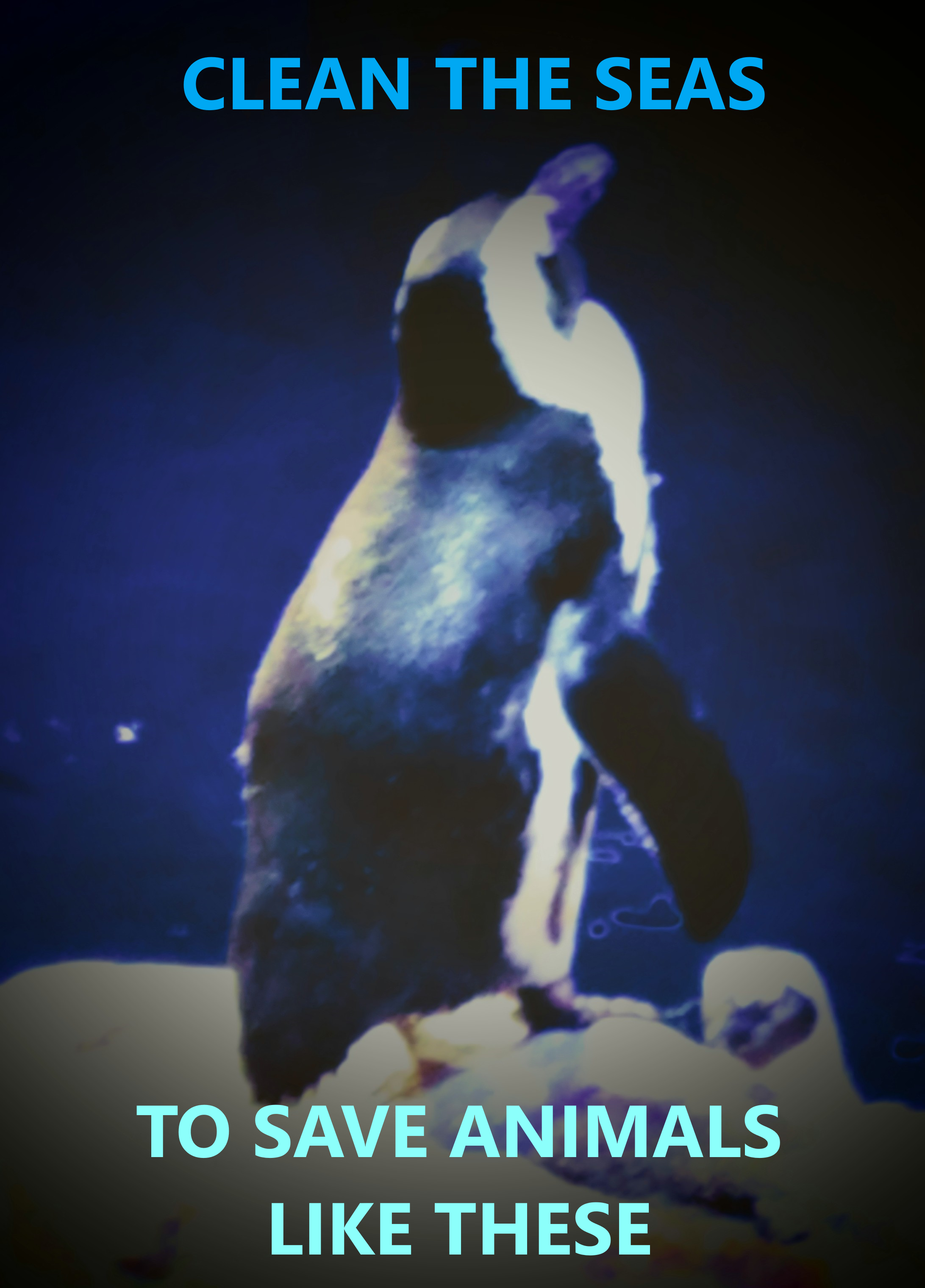penguin